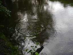 P3770807
